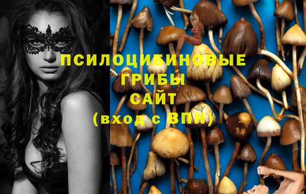 mdma Дмитров