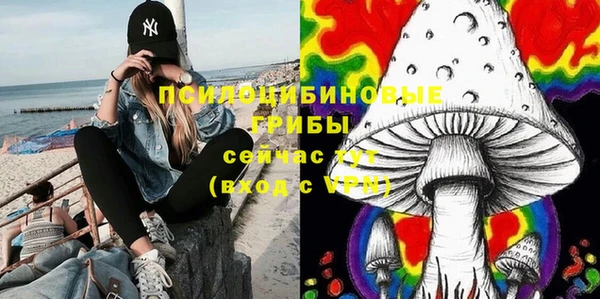 таблы Дмитровск