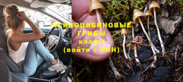 mdma Дмитров