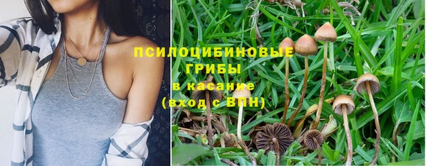 бутират Дмитриев