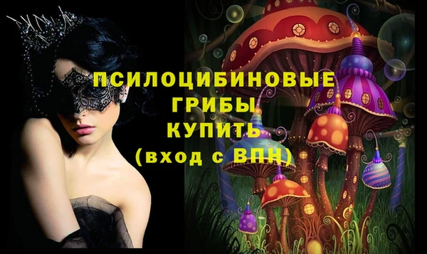 таблы Дмитровск