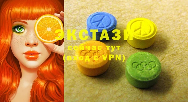 хмурый Бикин